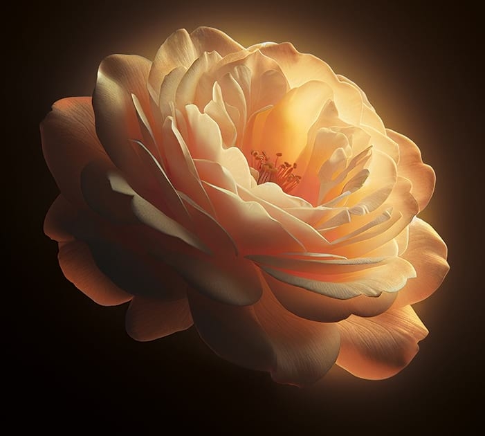 Crème Mains Nourrissante 'Roses' Your Day Crème Mains Nourrissante 'Roses' Your Day
